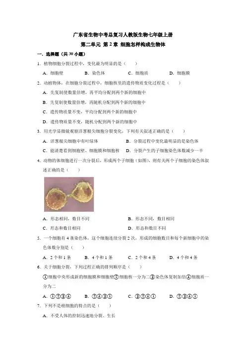 广东省生物中考总复习人教版生物 第二单元 第2章 细胞怎样构成生物体(解析版)