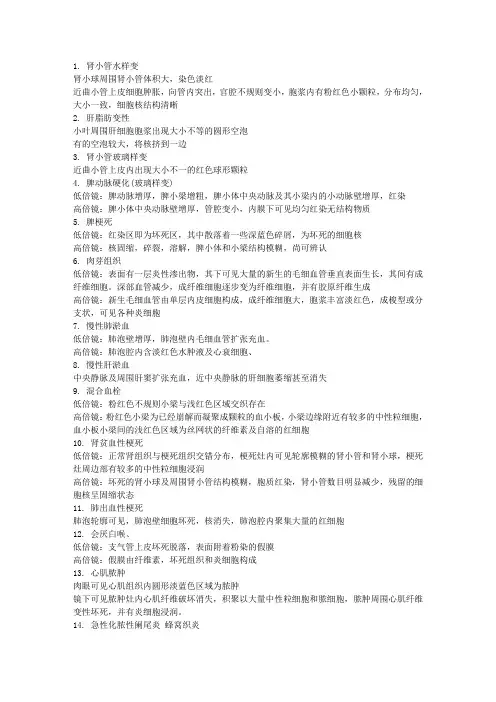 病理实验 各种切片介绍