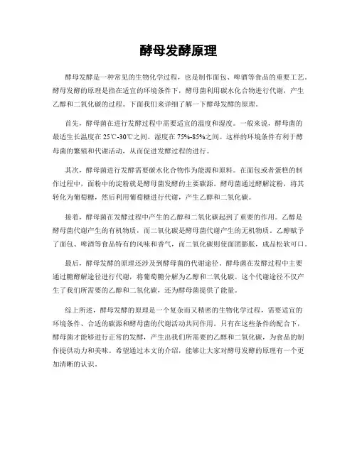 酵母发酵原理