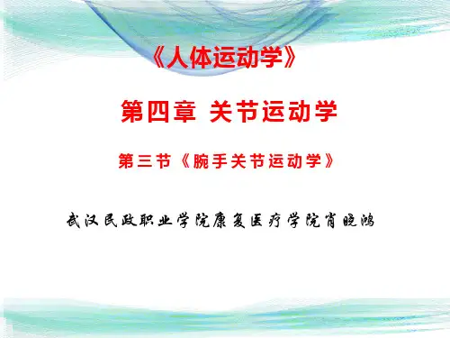 第四章 第三节 腕关节运动学
