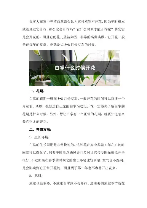 白掌什么时候开花