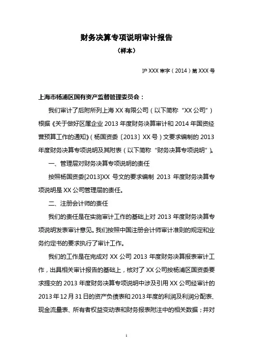 财务决算专项说明样本