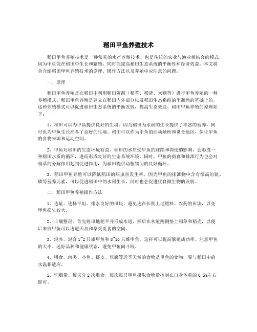 稻田甲鱼养殖技术