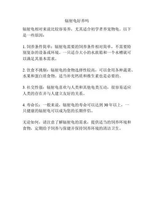 辐射龟好养吗