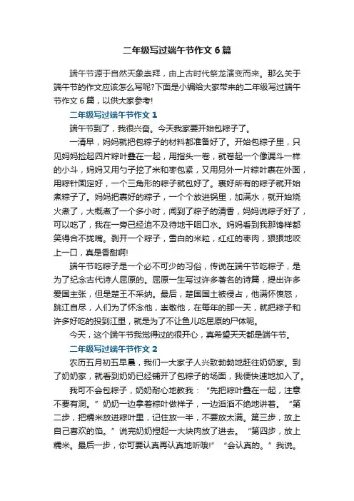 二年级写过端午节作文6篇