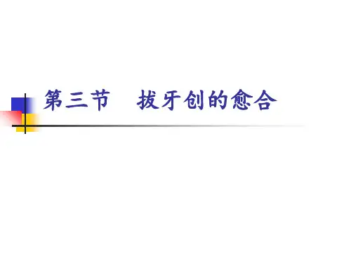 拔牙创的愈合