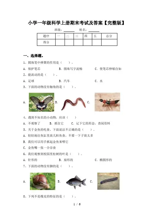 小学一年级科学上册期末考试及答案【完整版】