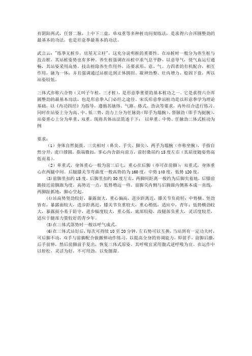 三体式桩