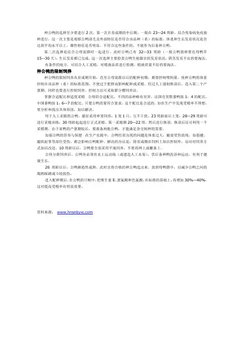 种鸭如何管理