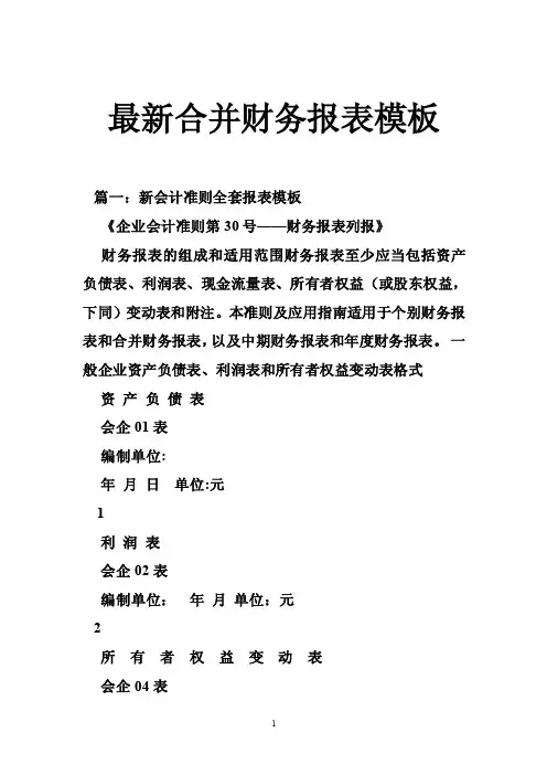 最新合并财务报表模板