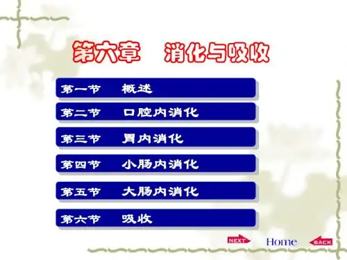 第六章消化吸收