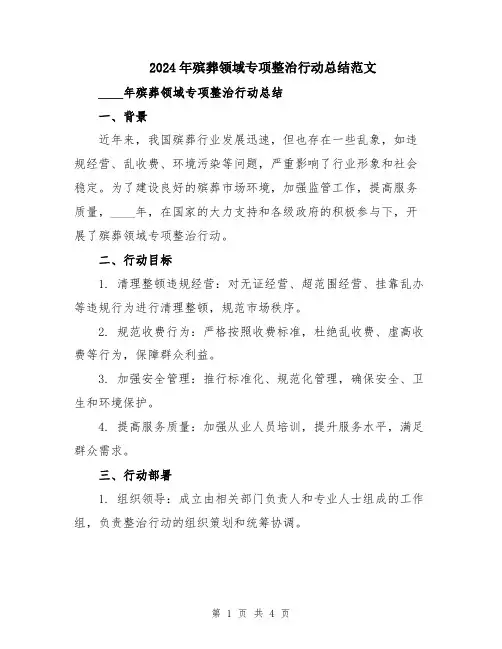 2024年殡葬领域专项整治行动总结范文