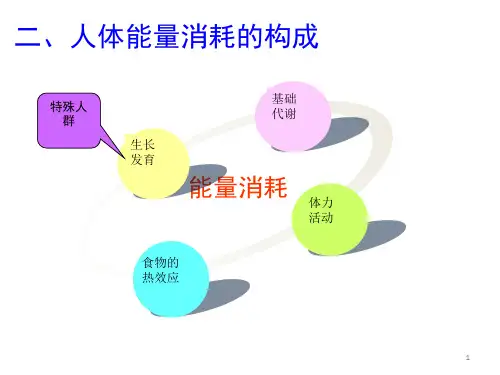 人体需要的能量和营养素PPT参考幻灯片
