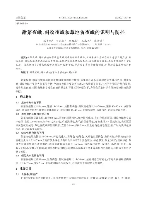 甜菜夜蛾、斜纹夜蛾和草地贪夜蛾的识别与防控
