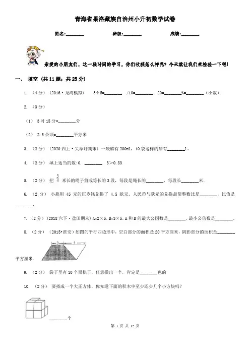 青海省果洛藏族自治州小升初数学试卷