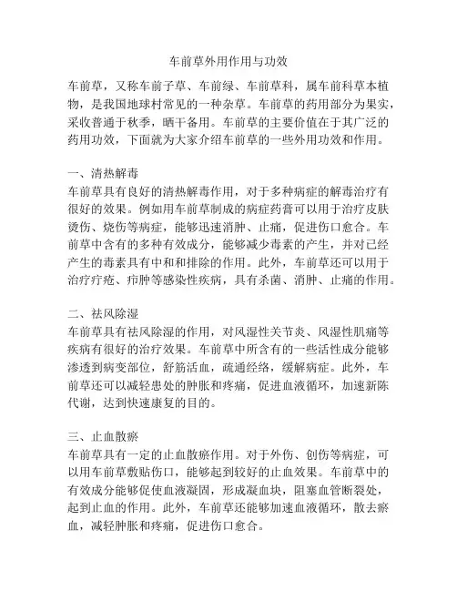 车前草外用作用与功效