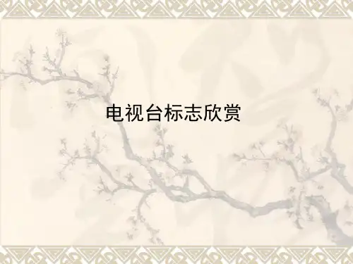 电视台标志欣赏共38页PPT资料
