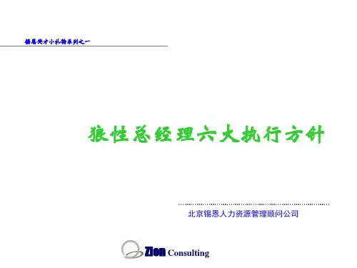 锡恩-狼性总经理六大执行方针