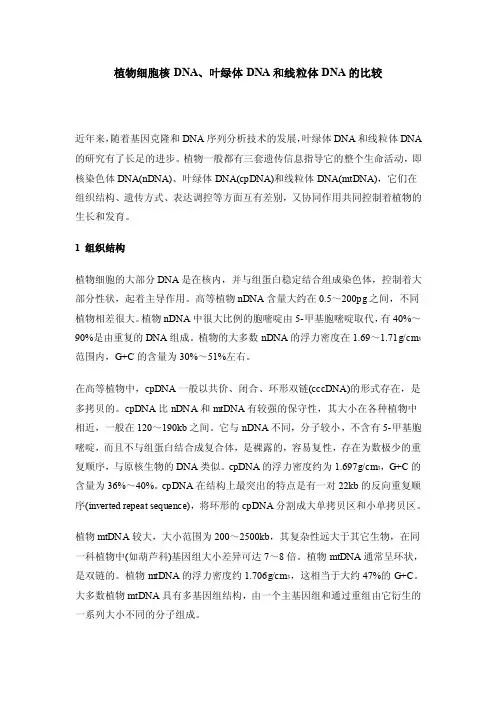 植物细胞核DNA、叶绿体DNA和线粒体DNA的比较