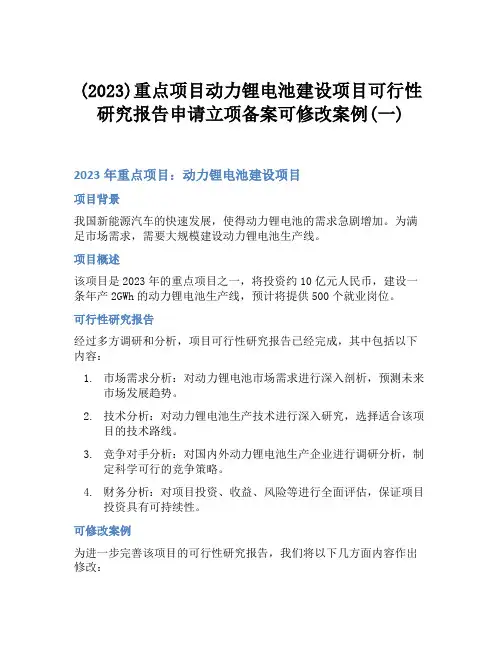 (2023)重点项目动力锂电池建设项目可行性研究报告申请立项备案可修改案例(一)