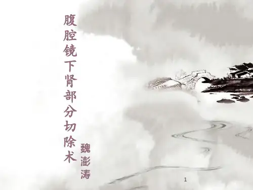 腹腔镜下肾部分切除术ppt课件