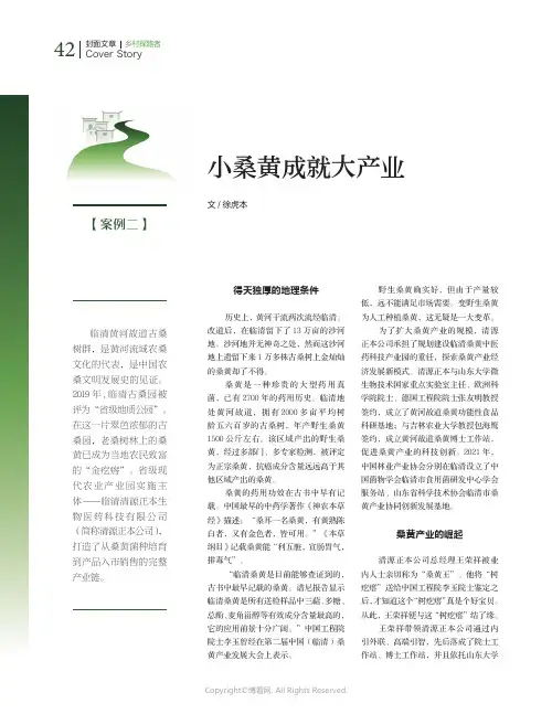 小桑黄成就大产业