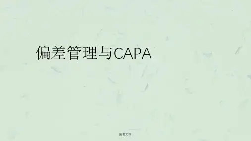 偏差方面ppt课件