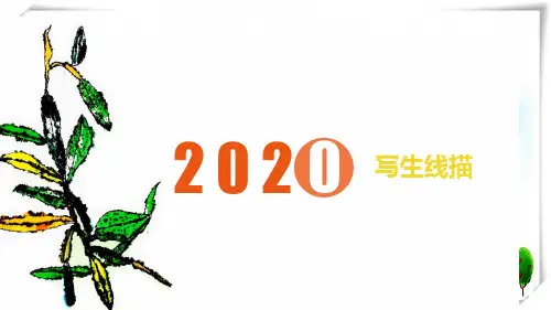 2024年线描 6岁-9岁 《郁金香》-美术课件