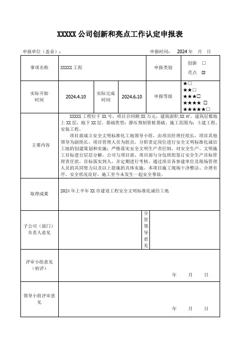 集团公司创新和亮点工作认定申报表模版范文