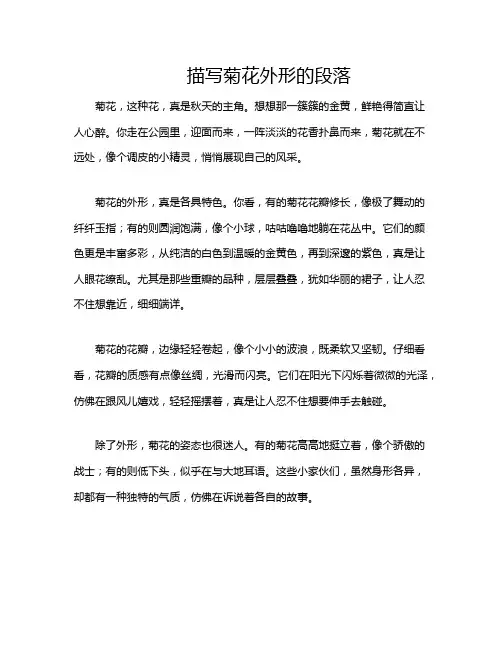 描写菊花外形的段落