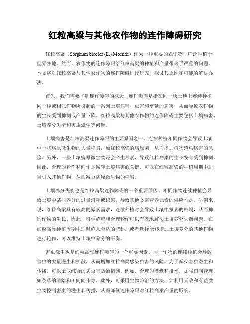红粒高粱与其他农作物的连作障碍研究