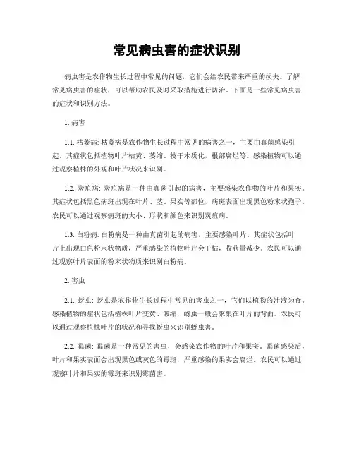 常见病虫害的症状识别