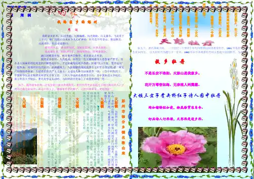 小万电子板报