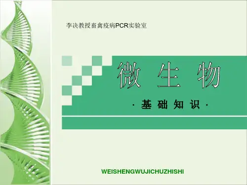 微生物基础知识