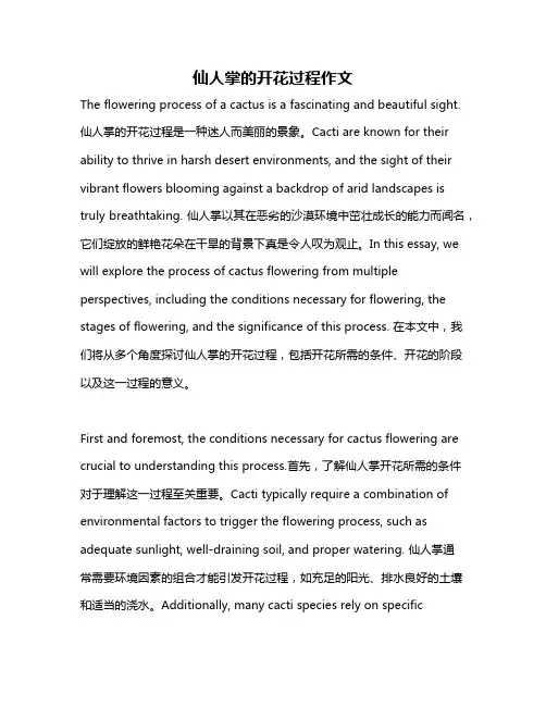 仙人掌的开花过程作文