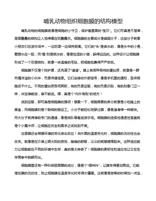 哺乳动物组织细胞膜的结构模型