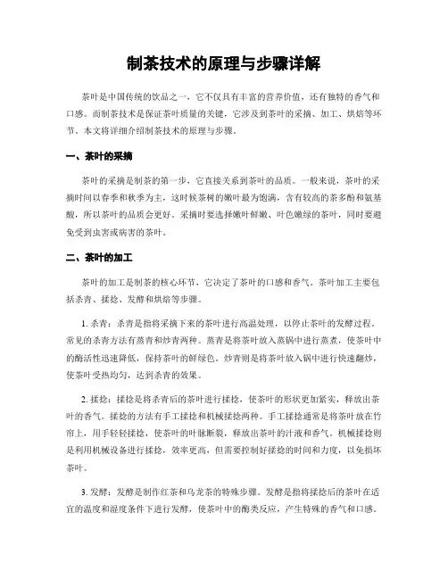制茶技术的原理与步骤详解