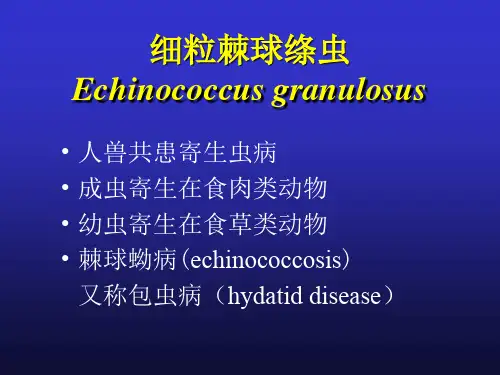 人体寄生虫学细粒棘球绦虫课件