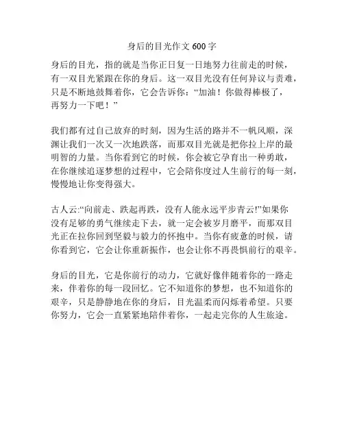 身后的目光作文600字
