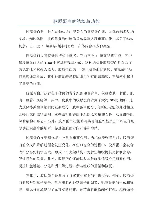 胶原蛋白的结构与功能