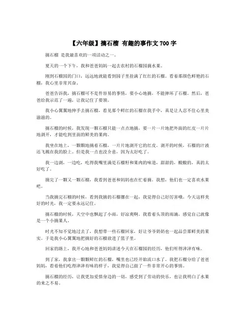 【六年级】摘石榴 有趣的事作文700字