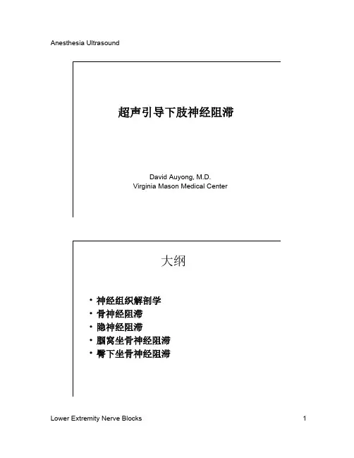 超声引导下肢神经阻滞