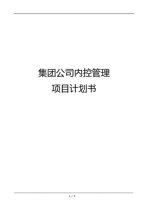集团公司内控管理项目计划书