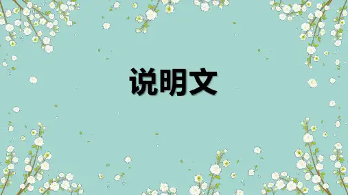 说明文