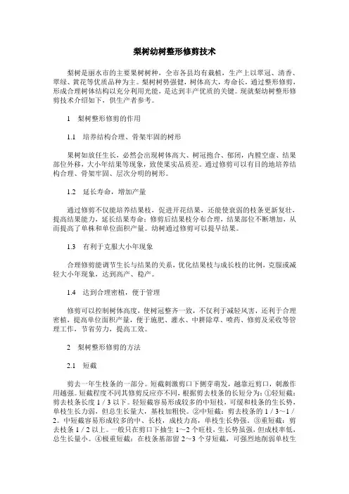 梨树幼树整形修剪技术