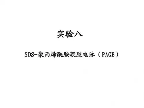 SDS-PAGE(蛋白印迹)
