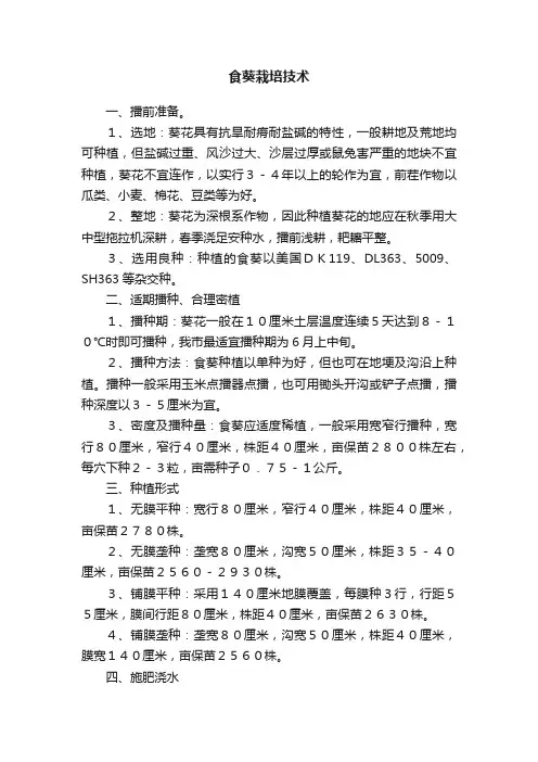 食葵栽培技术