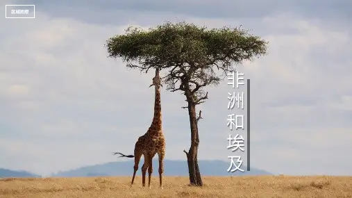 《非洲和埃及》课件-高二区域地理