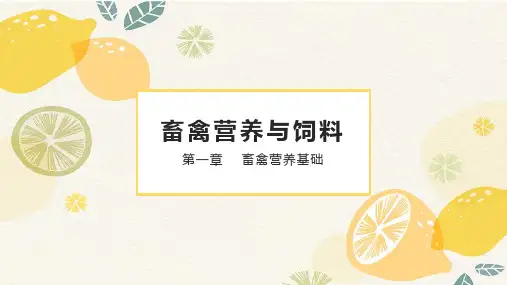 《畜禽营养与饲料》课件：维生素的营养作用