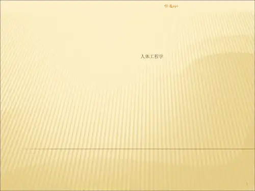 人体工程学